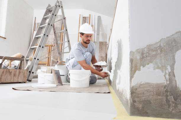 Best Mold Damage Restoration  in Pymatuning Central, PA
