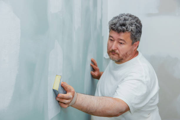 Best Black Mold Removal  in Pymatuning Central, PA